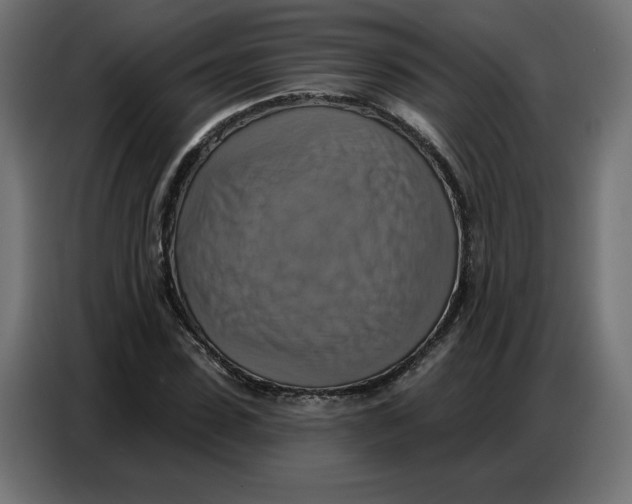 X0000086750923200705041424