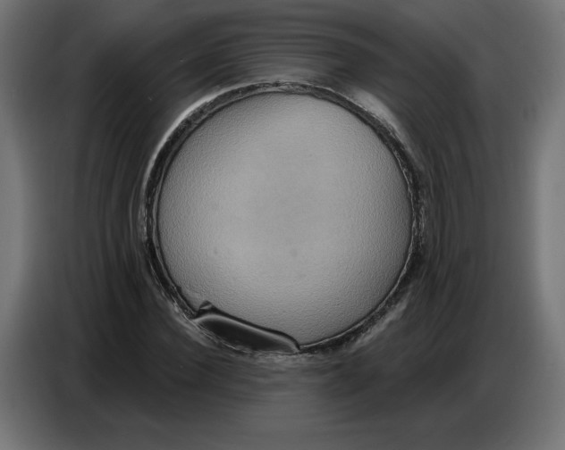 X0000086750924200705041424