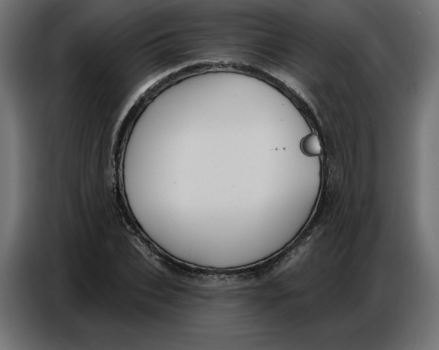 X0000086750927200705041424