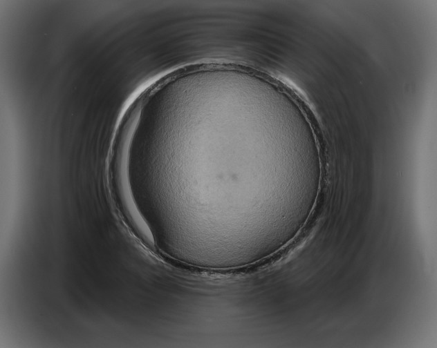 X0000086750928200705041424