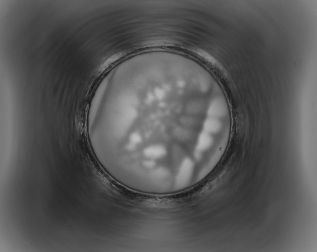 X0000086750929200705041424