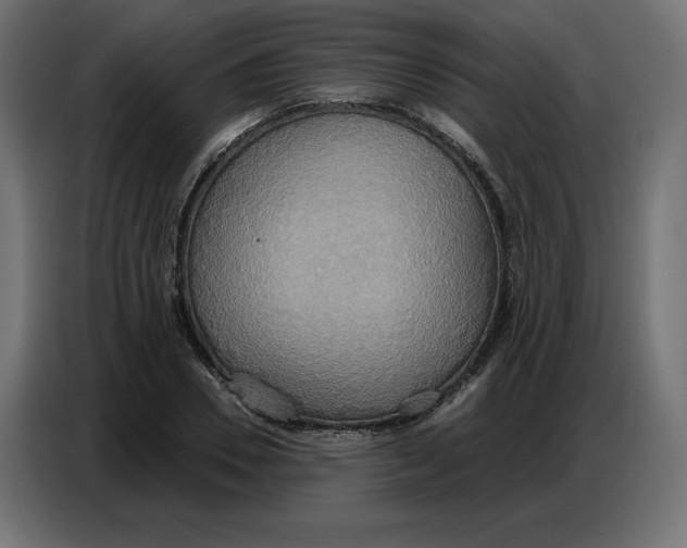 X0000086750930200705041424