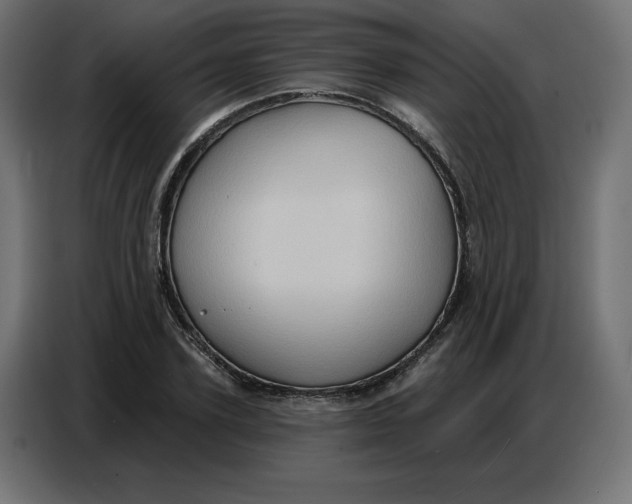 X0000086750931200705041424