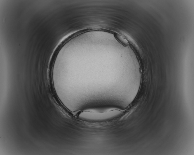 X0000086750932200705041424