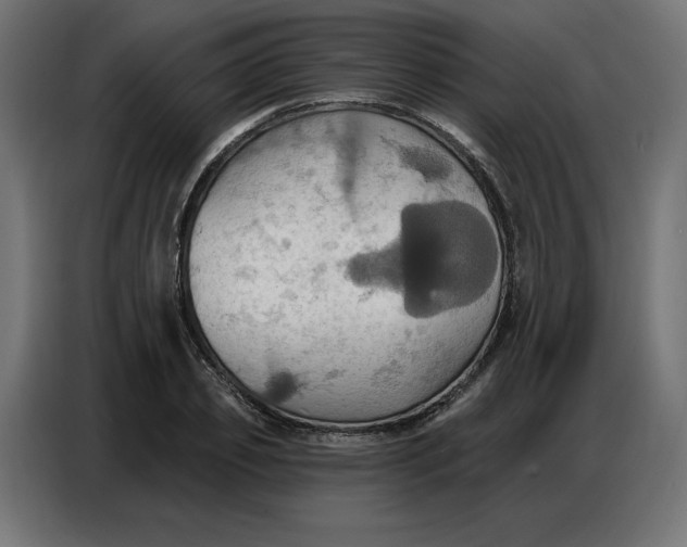 X0000086750933200705041424