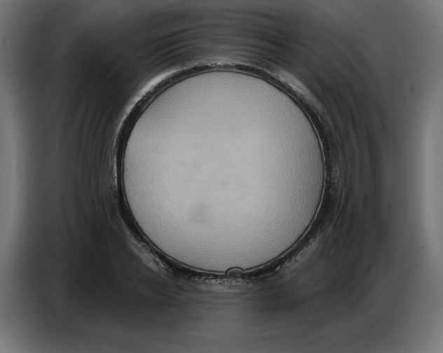 X0000086750934200705041424