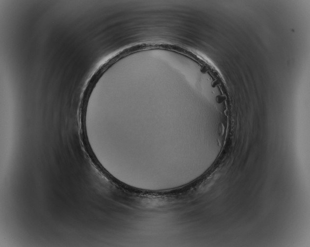 X0000086750935200705041424