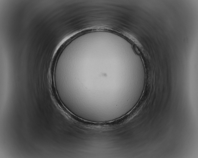 X0000086750936200705041424