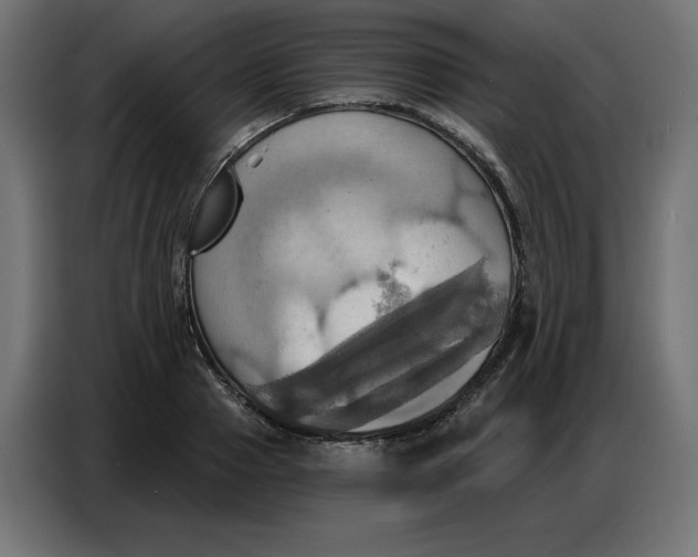 X0000086750937200705041424