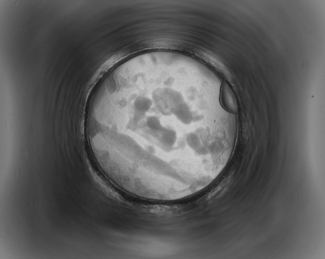 X0000086750938200705041424