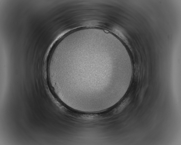 X0000086750939200705041424