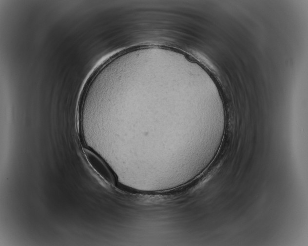 X0000086750940200705041424