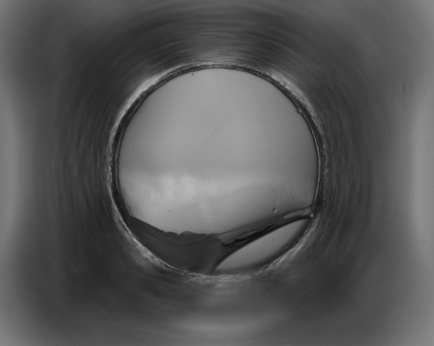 X0000086750941200705041424