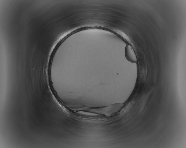 X0000086750943200705041424