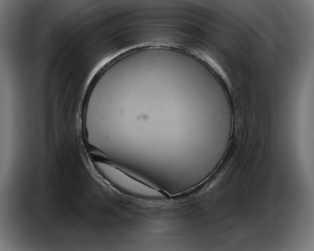 X0000086750944200705041425