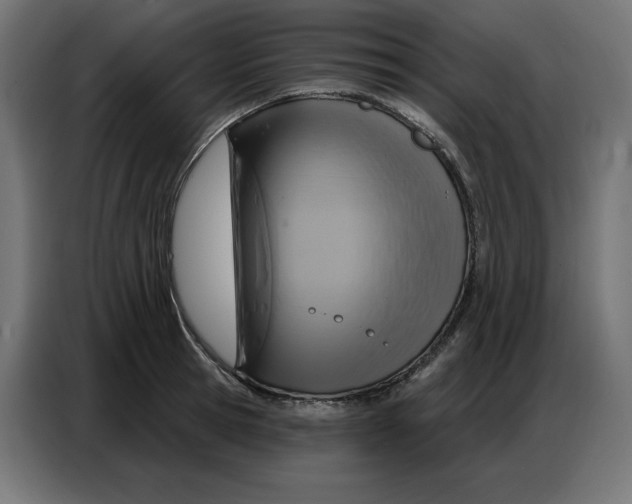 X0000086750945200705041425