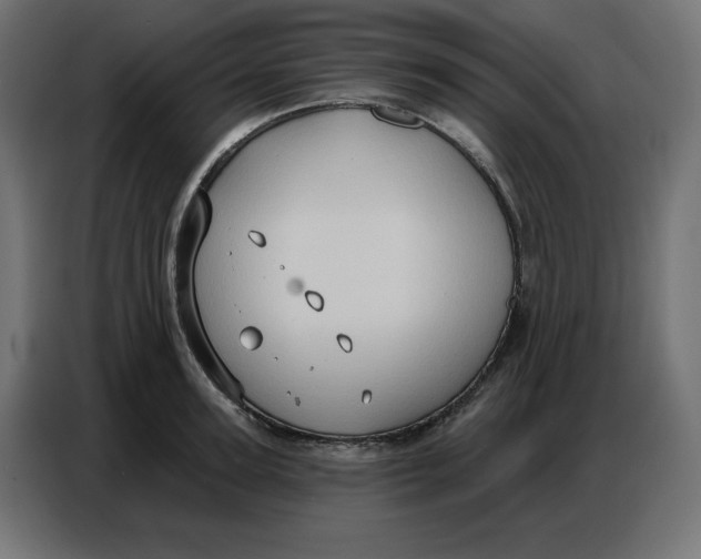 X0000086750947200705041425