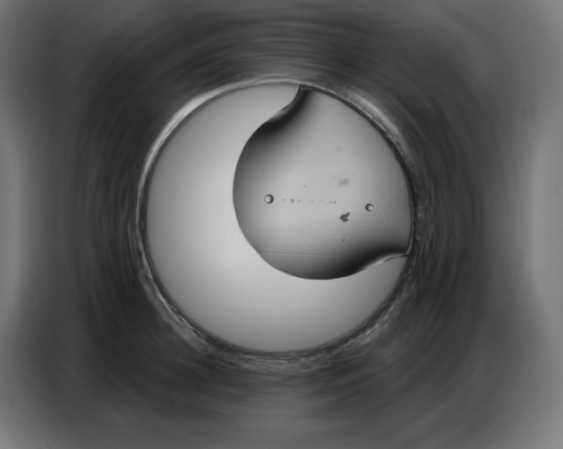 X0000086750948200705041425