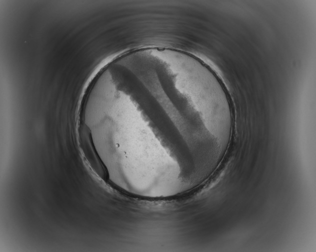 X0000086750949200705041425