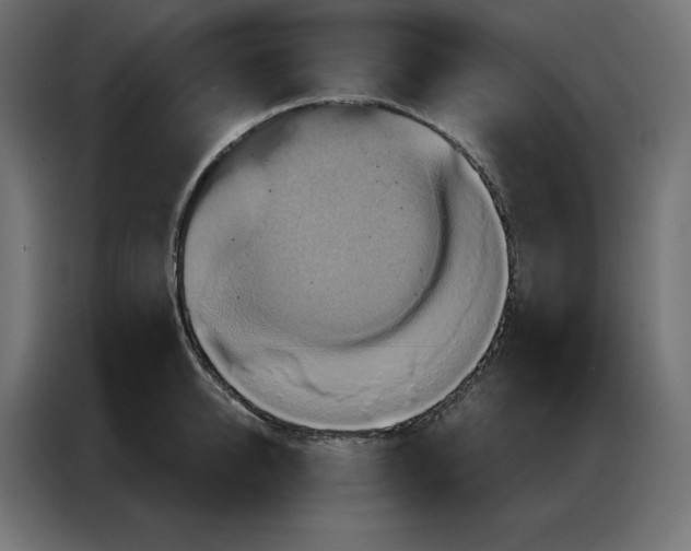 X0000086750950200705041425