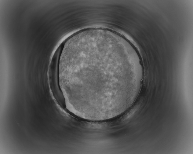 X0000086750951200705041425