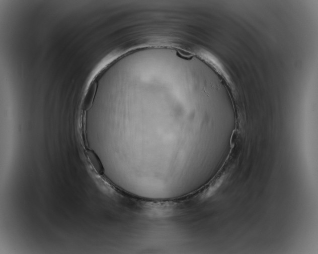 X0000086750952200705041425