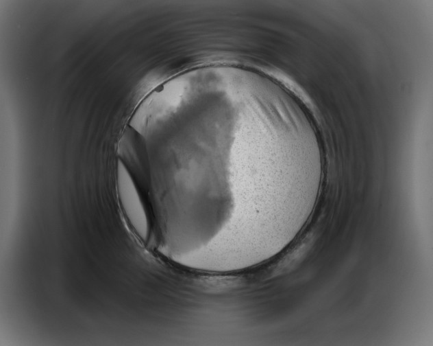 X0000086750953200705041425