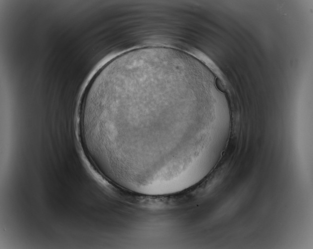 X0000086750955200705041425