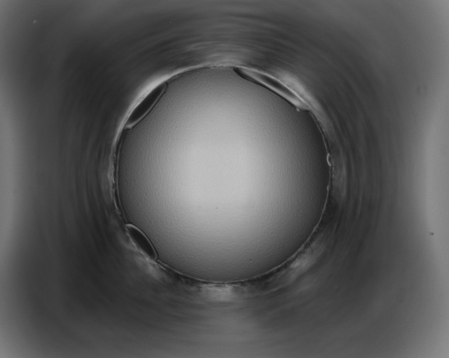 X0000086750956200705041425