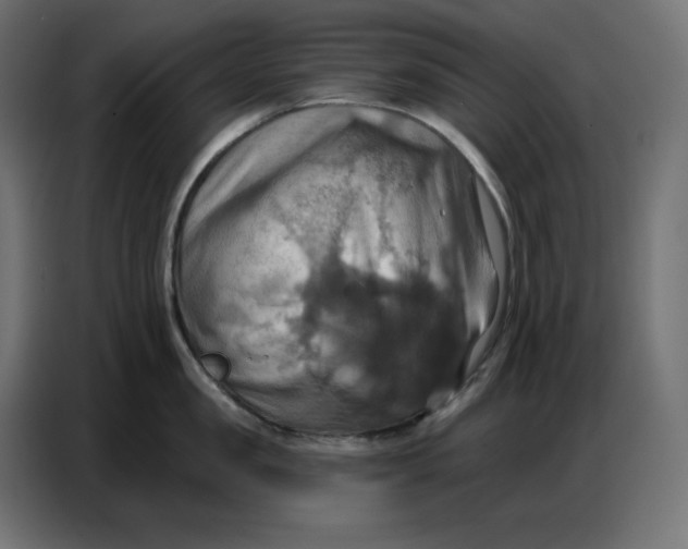 X0000086750957200705041425