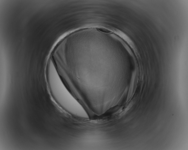 X0000086750958200705041425