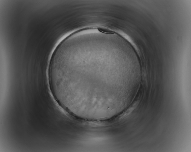 X0000086750959200705041425