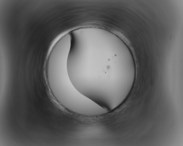 X0000086750960200705041425