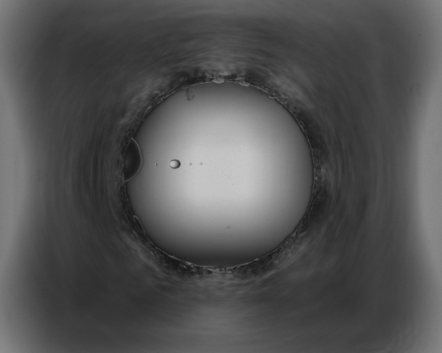 X0000086750961200705041424