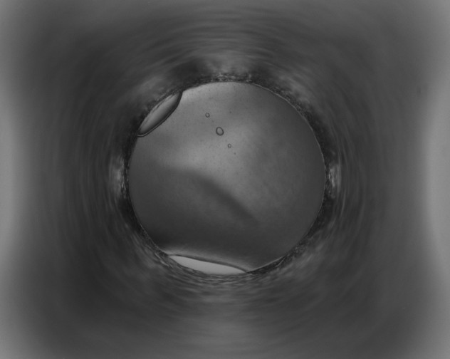 X0000086750963200705041424