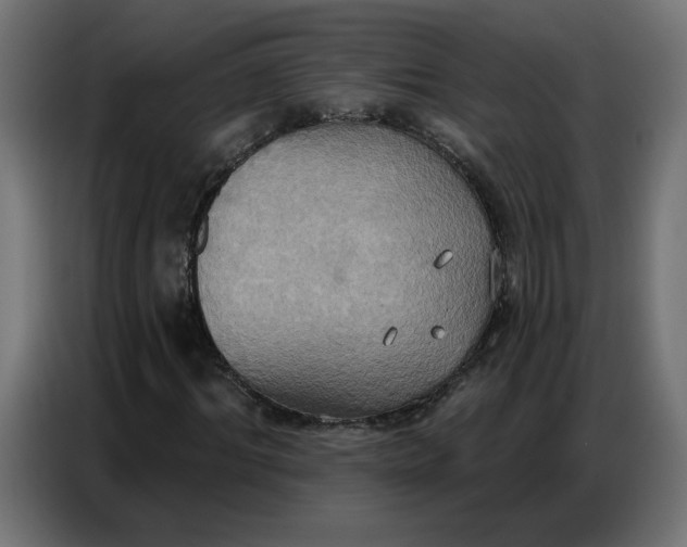 X0000086750964200705041424