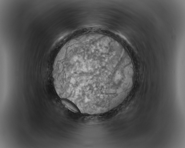 X0000086750967200705041424