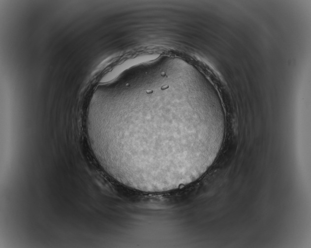 X0000086750968200705041424