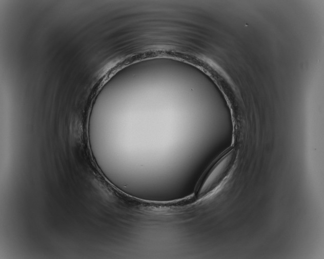 X0000086750969200705041424