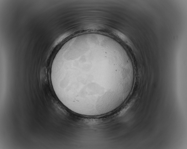 X0000086750970200705041424