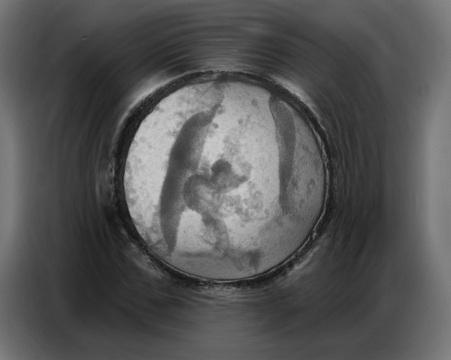 X0000086750971200705041424