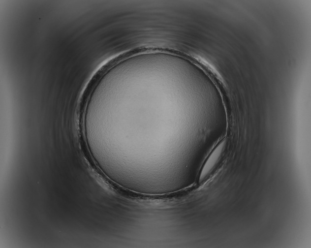 X0000086750976200705041424