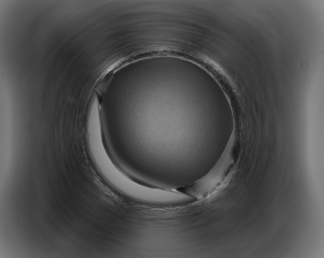 X0000086750977200705041424