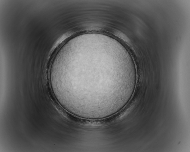 X0000086750978200705041424