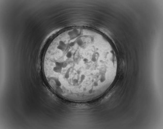 X0000086750979200705041424