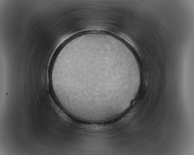 X0000086750980200705041424