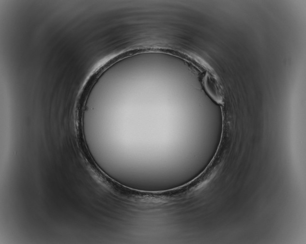 X0000086750981200705041424