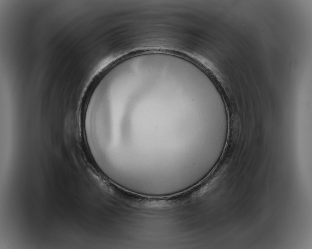 X0000086750982200705041424