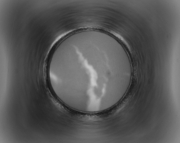 X0000086750983200705041424