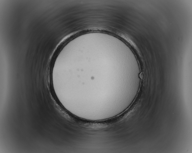 X0000086750984200705041424